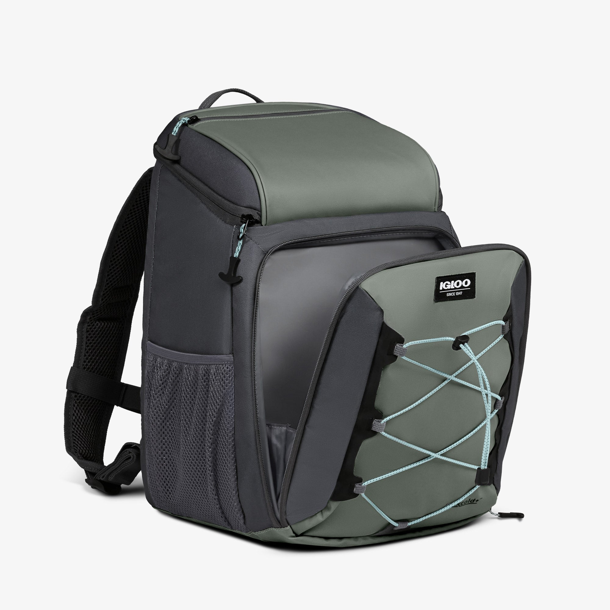 00066320_4.jpg